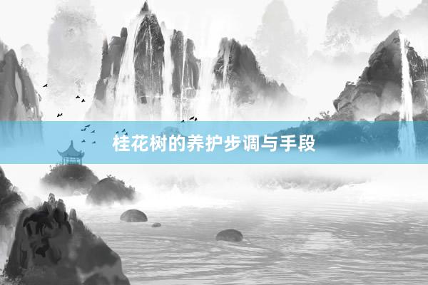 桂花树的养护步调与手段