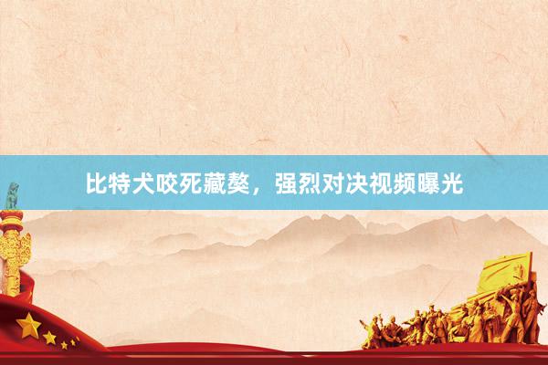 比特犬咬死藏獒，强烈对决视频曝光